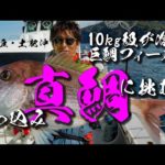 【真鯛釣り】乗っ込み真鯛に挑む！〜次世代ワンピースロッドによるコマセダイ攻略〜