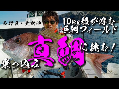 【真鯛釣り】乗っ込み真鯛に挑む！〜次世代ワンピースロッドによるコマセダイ攻略〜
