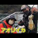 ボートエギングでアオリイカを狙う!【ガッ釣り関西145】