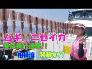 【ムギイカ釣り】【直結仕掛け】【多点掛け】【ニセイカ】【ピッカピカ針】