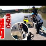 【うなぎ爆釣】有明海の川で逆側から狙って釣りしたら次々と…