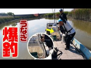 【うなぎ爆釣】有明海の川で逆側から狙って釣りしたら次々と…