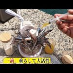 一滴で数百匹の小魚が目を覚まし湾内で大物が釣れた