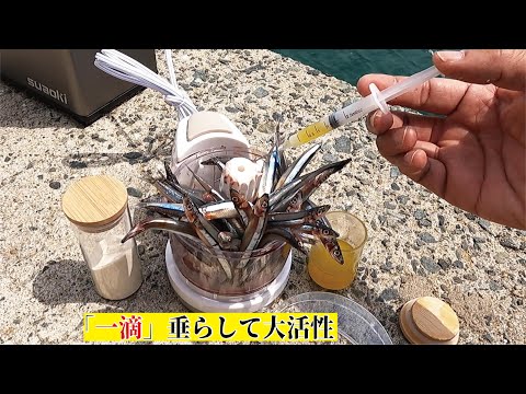 一滴で数百匹の小魚が目を覚まし湾内で大物が釣れた