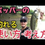 【バス釣り】ポッパーで釣れるようになる‼️
