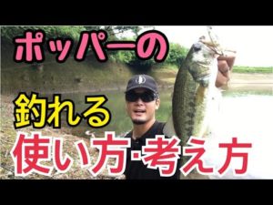 【バス釣り】ポッパーで釣れるようになる‼️