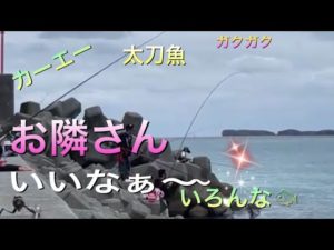 沖縄県　北部☆釣りポイント！カーエー　太刀魚　ガクガク釣れる〜