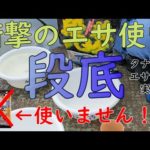 【段差の底釣り】衝撃のエサ使い　段底のタナ取り、エサ作り、実釣　東レインストラクターが教えるへら鮒釣りの豆知識
