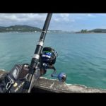 登録者１万人いくまで釣りLIVE配信🏋️‍♀️                   【５７日目 本部編】