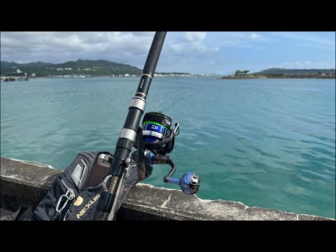 登録者１万人いくまで釣りLIVE配信🏋️‍♀️                   【５７日目 本部編】