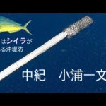 【和歌山釣り】ショアジギング　【謎生物】が釣れた！？夏にはシイラも青物も釣れる小浦一文字&和歌山マリーナシティ