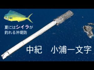 【和歌山釣り】ショアジギング　【謎生物】が釣れた！？夏にはシイラも青物も釣れる小浦一文字&和歌山マリーナシティ