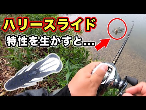 【バス釣り】ハリースライドの使い方!!他社との違い・インプレして使ってわかったことをまとめてみた【ボトムアップ】【バックスライドワーム】【エビ食い】【雨でも活躍】