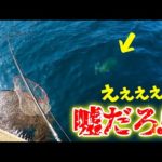【奇跡】ジグにエソが食いつき更にエソをあの高級魚が食いついた‼
