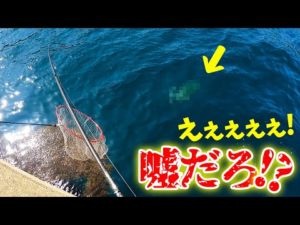 【奇跡】ジグにエソが食いつき更にエソをあの高級魚が食いついた‼