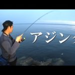 あの釣り方でもアジが釣れる季節がやってきました！