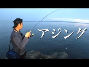 あの釣り方でもアジが釣れる季節がやってきました！