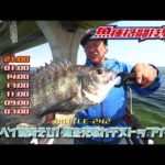 東京ベイ新あそび！夏を先取れチヌトップゲーム【釣りビジョン番組紹介】