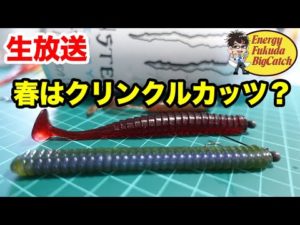 【夜のバス釣りライブ】クリンクルカッツ見つけたのでジグヘッドで使ってみたい！