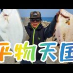 北海道釣り。平物三桁釣り、スナカレイ、イシモチ、まつかわ！