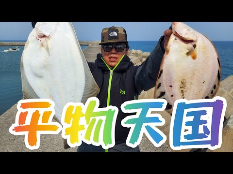 北海道釣り。平物三桁釣り、スナカレイ、イシモチ、まつかわ！