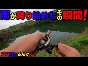 【バス釣り】真昼間&曇り&無風で雨の振り出しは激アツ?