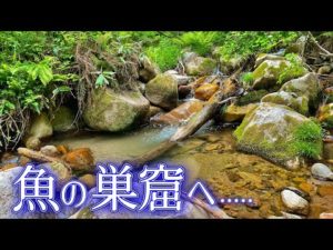 【渓流釣り】岩魚の巣窟にルアーを入れると......   鱒レンジャー改　サニールアーズ　メダカ