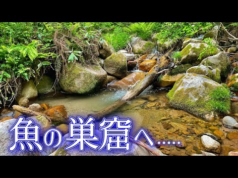 【渓流釣り】岩魚の巣窟にルアーを入れると......   鱒レンジャー改　サニールアーズ　メダカ