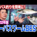 シーバス釣り初心者はワームから！シーバスワームBEST5！2022年版！オヌマンのシーバス塾