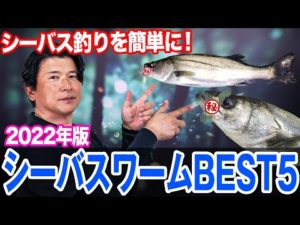 シーバス釣り初心者はワームから！シーバスワームBEST5！2022年版！オヌマンのシーバス塾