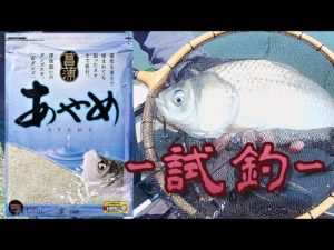 へらぶな釣り-試釣 あやめ-