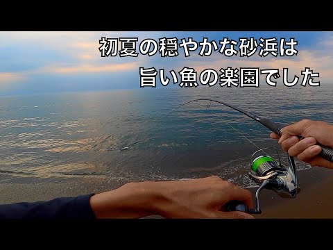 旨い魚が連発する楽園のような砂浜で釣りした話。