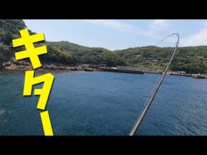 久しぶりの2vs2堤防釣り対決‼大物を釣った方はどっち！？