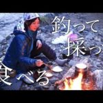 【渓流釣り】山菜を採って食べる、キャンプの夜