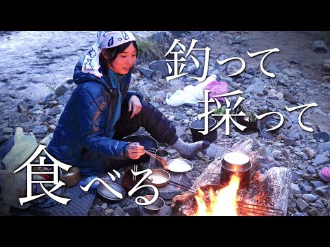 【渓流釣り】山菜を採って食べる、キャンプの夜