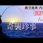 石鯛釣り 鹿児島県 内之浦 不意打ち喰らっちまったけど