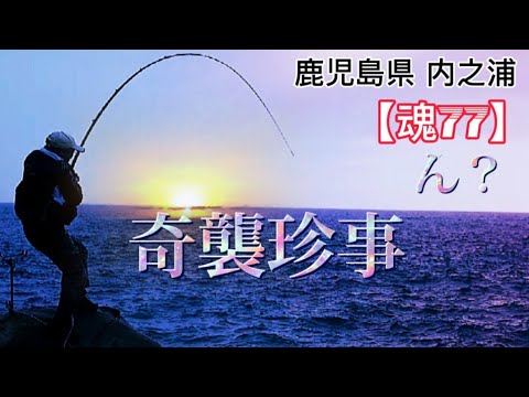 石鯛釣り 鹿児島県 内之浦 不意打ち喰らっちまったけど