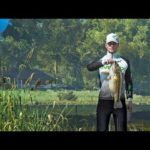 まったり釣り　だるまとばにら