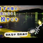 【電気ウキ夜釣り】まずめタイム後に始めた遠投サビキの行方。Float Sabiki fishing at the start 8pm.