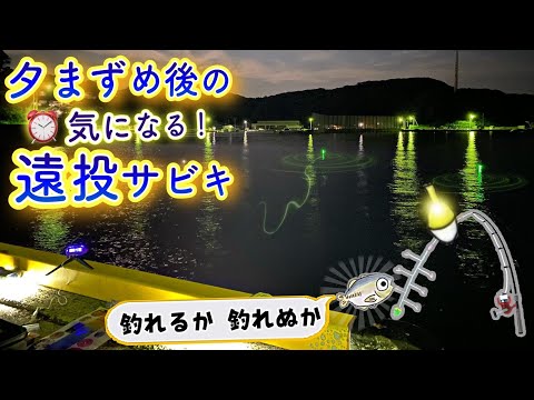 【電気ウキ夜釣り】まずめタイム後に始めた遠投サビキの行方。Float Sabiki fishing at the start 8pm.