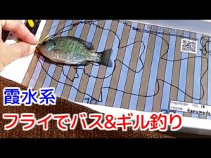 フライでバス＆ギル釣り霞水系2022