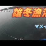 釣り日記♯６８ マメイカ石狩、留萌で釣れてるなら増毛でも釣れるハズ！？