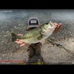 琵琶湖バス釣りライブR４-5/30(ツレチョびれ！！）