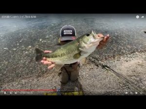 琵琶湖バス釣りライブR４-5/30(ツレチョびれ！！）