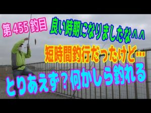 釣り動画ロマンを求めて 455釣目