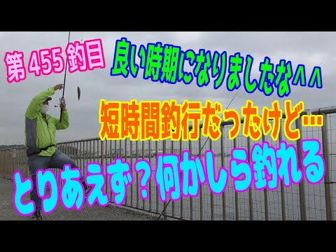 釣り動画ロマンを求めて 455釣目