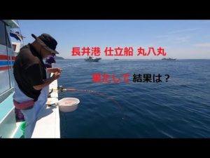 長井港 丸八丸 仕立船 コマセ釣り 時合は大切