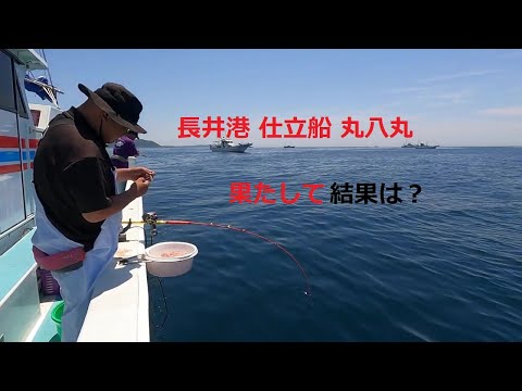 長井港 丸八丸 仕立船 コマセ釣り 時合は大切