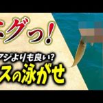 【釣り】キスはアジよりも泳がせ釣りに良いと聞いたのでやってみたら...