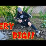 【釣り事故】次々大物を釣る元女子高生‼️がしかし…スカートめちゃくちゃハプニング再び…😱